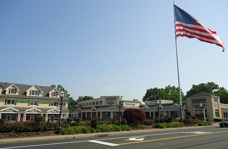 Berkeley Heights skyline