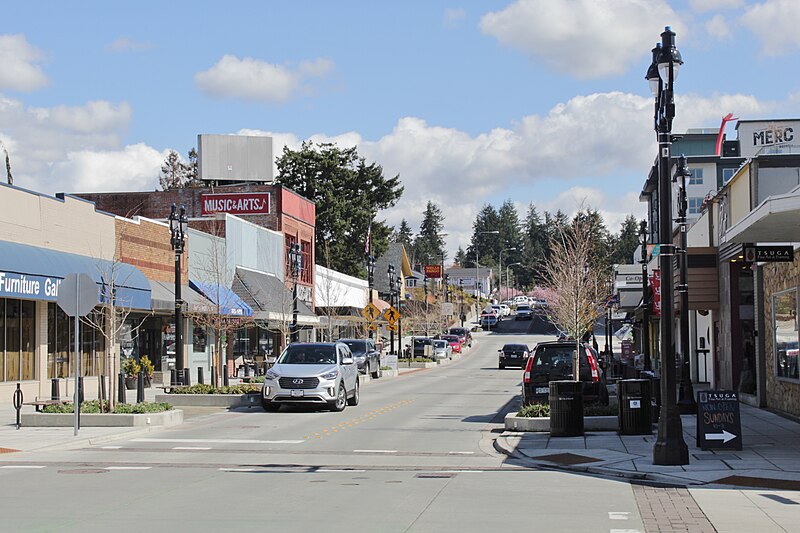 Bothell skyline