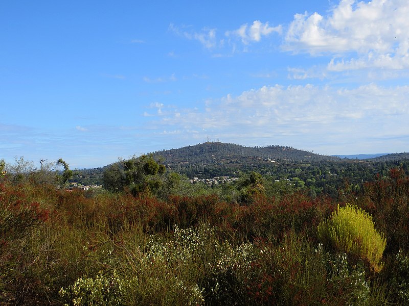 Cameron Park skyline