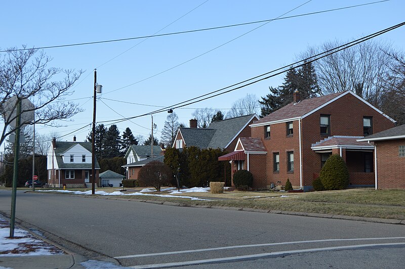 Cheswick skyline