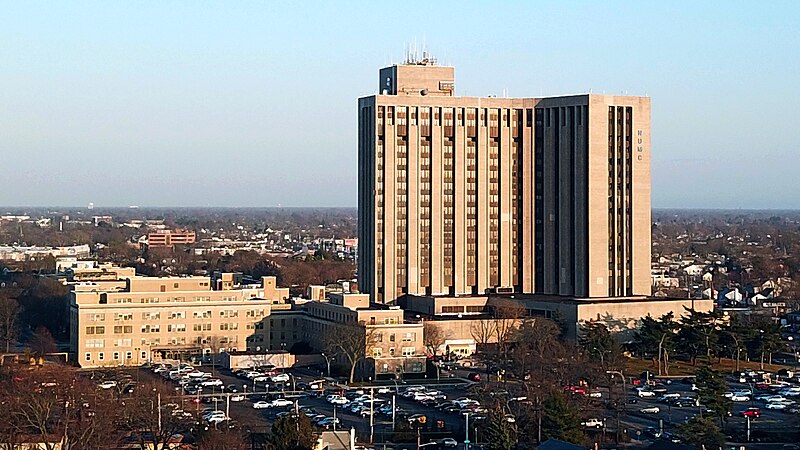 East Meadow skyline