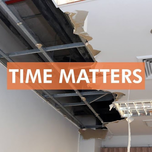 SERVPRO of Wichita Falls business photo