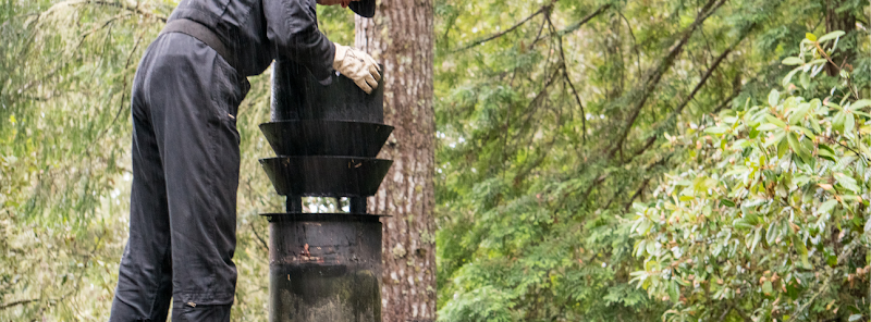 Alpha Chimney Sweeps business photo