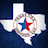 Texas Fire Services LLC logo