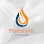 Mammoth Fire Protection logo