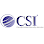 Control Systems Inc logo