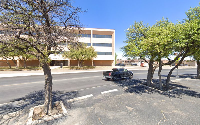Lonestar Fire Services business photo